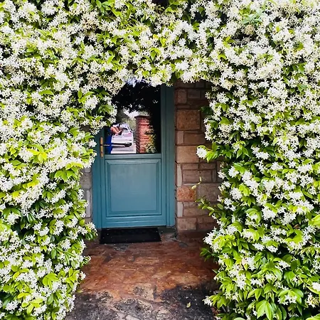 Aleks Apartment Tar-Vabriga